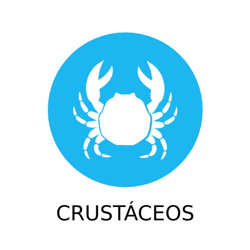 HTML5 logo