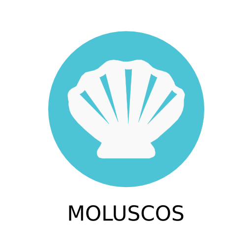 HTML5 logo